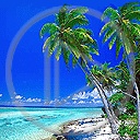 krajobraz słońce palma wyspa wakacje morze drzewo woda lato plaża plenery turystyka widok egzotyka przyroda drzewa widoczek palmy krajobrazy widoczki widoki