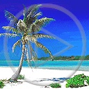 krajobraz słońce palma wyspa wakacje morze drzewo woda lato plaża plenery widok egzotyka przyroda drzewa widoczek palmy krajobrazy widoczki widoki