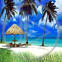 krajobraz słońce palma wyspa wakacje morze drzewo woda plaża plenery widok egzotyka przyroda drzewa widoczek palmy krajobrazy widoczki widoki
