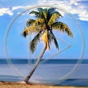 krajobraz słońce palma wyspa wakacje morze drzewo woda lato plaża plenery widok drzewa widoczek palmy krajobrazy widoczki widoki