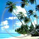 słońce palma wyspa wakacje morze woda lato plaża egzotyka palmy