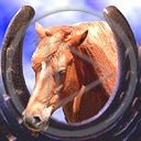 zwierzęta koń konie konik zwierzak koniki zwierzaki zwierzę