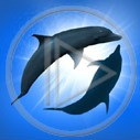 zwierzęta delfin ssak ssaki delfiny delfinek zwierze delfinki
