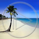 słońce palma wyspa wakacje urlop morze woda plaża palmy