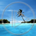 słońce palma wyspa morze ocean woda plaża widok palmy