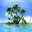 słońce palma wyspa morze woda plaża palmy