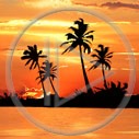 słońce palma wyspa morze woda plaża zachód słońca palmy