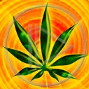 trawka zioło trawa skręt marihuana Gania zielsko cannabis joint pal zioło gandzie