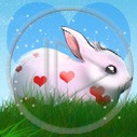 królik serce serduszka trawa króliczek łąka