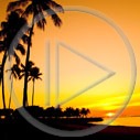 plenery widok zachód słońca widoczek palmy plener
