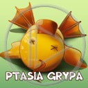 ptaki ptak ptaszek ptaszki grypa ptasia grypa