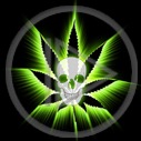 trawka maryśka zioło czaszka trawa marihuana zielsko cannabis czacha joint pal zioło gandzie