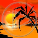 palma plenery widok zachód słońca widoki plener