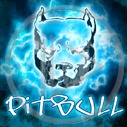 pies piesek psy pit bull pieski rasa