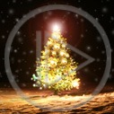 święta choinka zima śnieg Boże Narodzenie drzewko świąteczne