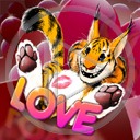 miłość love kot tygrys tygrysek koty kochać tygrysy kocham cię walentynkowe tygryski