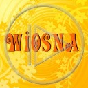 kwiat kwiaty kwiatek wzór wiosna wzory kwiatki