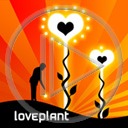serce miłość serduszka miłosne serduszko serca loveplant