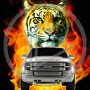 auto samochód kot tygrys koty pojazd drapieżniki samochody pojazdy tygrysy motoryzacja auta bryka drapieżnik