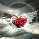 serce miłość skrzydła serduszka miłosne serduszko serca skrzydlate serce