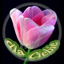 kwiat miłość urodziny kwiatek kocham tulipan ciebie imieniny dla życzenia urodzinowe dla mamy życzę dla taty z okazji... imieninowe