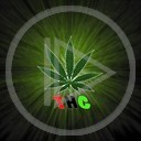 THC marihuana narkotyki gandzia dla dorosłych