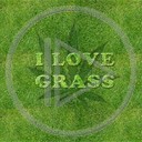 trawka trawa marihuana grass dla dorosłych