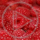 Malina owoce owoc smaczne natura maliny czerwone