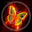 motyl owady motylek motyle owad motylki