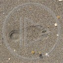 plaża piasek ślad stopa różne stópka