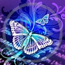 motyl owady wzór motylek motyle owad motylki