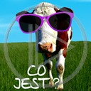 zwierzęta krowa okulary krowy śmieszne bydło co jest zwierze