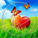 trawka serce miłość motyl serduszka trawa motylek motyle miłosne serduszko serca motylki