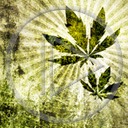 trawka maryśka trawa marihuana zielsko listek cannabis gandzia joint listki