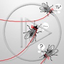 owady mucha muchy owad na uwięzi na sznurku