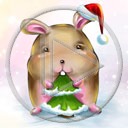 królik zwierzęta Mikołaj święta choinka Boże Narodzenie drzewko króliki świąteczne zwierze