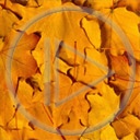 wzorek wzór liść wzorki jesień liście rośliny wzory listek przyroda natura pory roku ornament