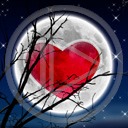 serce miłość noc księżyc serduszka miłosne serduszko serca