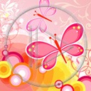 motyl owady motylek motyle owad motylki