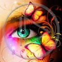 oczy oko motyl twarz owady wzrok motylek motyle spojrzenie owad motylki patrzeć