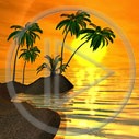 słońce palma wyspa morze woda plaża zachód słońca palmy zachody słońca