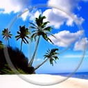 krajobraz wakacje urlop plaża widok palmy widoki