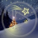 gwiazda noc święta choinka zima śnieg Boże Narodzenie wesołych świąt śnieżki