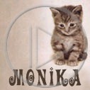 zwierzęta kot kotek Monika koty imiona kotki zwierzę