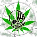 trawka maryśka zioło czaszka śmierć trawa liść marihuana czaszki zielsko cannabis czacha ziele czachy marycha