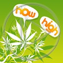 trawka maryśka zioło trawa liść palenie liście marihuana zielsko listek cannabis ziele listki how high