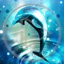 zwierzęta woda delfin ssak ssaki delfiny delfinek zwierze