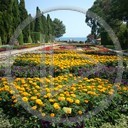 kwiaty zieleń ogród krajobrazy plener ogrody bułgaria