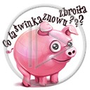 zwierzęta świnia świnie świnki napis świnka tekst zwierze co ta świnka znowu zrobiła