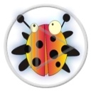 owady biedronka owad biedroneczka śmieszne biedronki